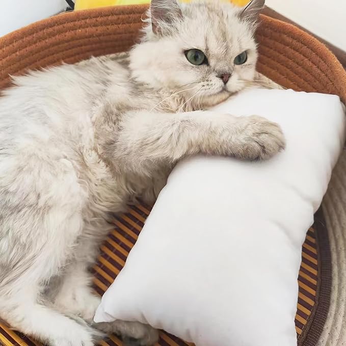 BEDSUM 2 Pack Pillows, 13"x18" Microfiber Pillows for Travel, Pets, Soft and Machine Washable Small Pillows for Neck, Wrist, and Knee Comfort, Sea Green