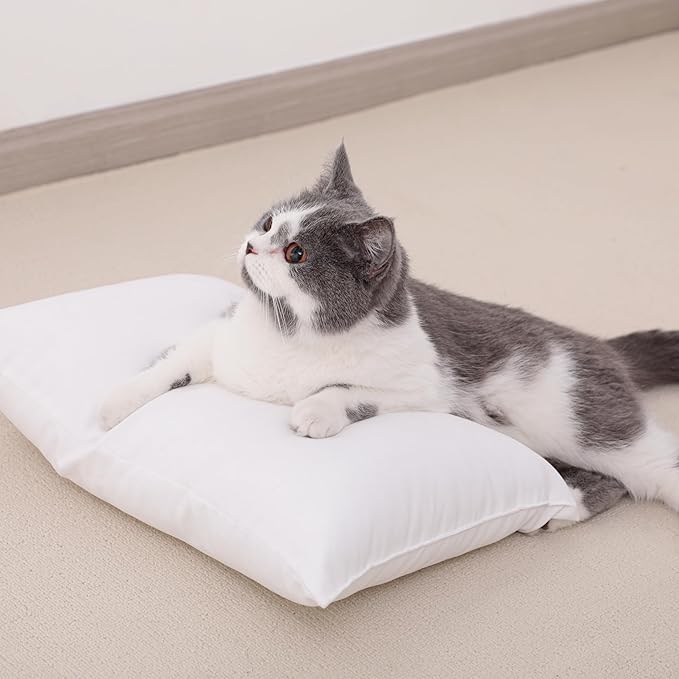 NTBAY Toddler Pillows, Down Alternative 13"x18" Pillows, Machine Washable - Soft and Breathable Travel Small Pillows for Sleeping, Ideal for Daycare, Crib, Cot, Purple