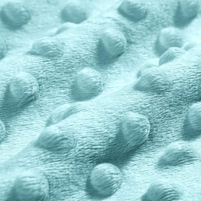 DaysU Silky Micro Soft Plush Baby Blankets for Boys with Print Animal Pattern and Soothing Raised Dots, Double Layer Bed Throws for Baby Crib, Dinosaur, Aqua Blue, 30x40 Inches