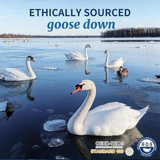 Canadian Luxury Goose Down Pillow King Size - 1050 Fill Power, 600 TC Cotton Shell- Ultra Soft and Comfort Sleep Pillows - Bed Pillows for Back, Stomach, Side Sleeper(White,King(Pack of 1))