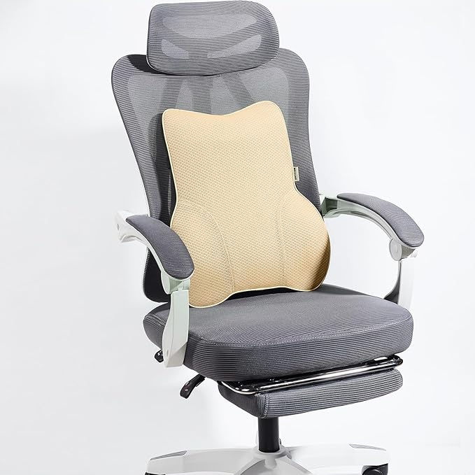 Soft Lumbar Pillow for Car Seat and Office Chair Back Support Pillow, Back Cushion for Pain Relief Improve Posture (Mesh-Beige)