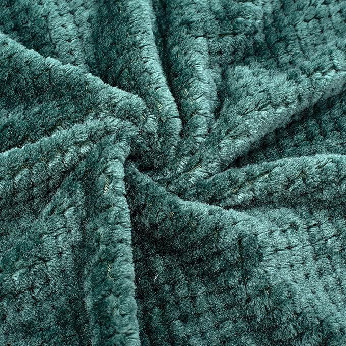 Fuzzy Blanket or Fluffy Blanket for Baby, Soft Warm Cozy Coral Fleece Toddler, Infant or Newborn Receiving Blanket for Crib, Stroller, Travel, Decorative (28Wx40L, XS-Black Green)